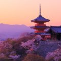 APASL 2024 Kyoto received the record breaking number of APASL, over 2300 abstracts!